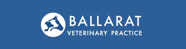 Ballarat Veterinary Practice Ballarat