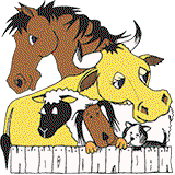 Stawell Veterinary Clinic - Vet Australia 0