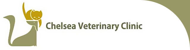 Chelsea Heights VIC Vet Australia
