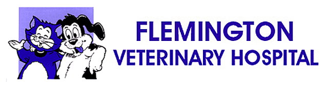 Flemington Veterinary Hospital Ascot Vale