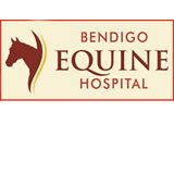Bendigo Equine Hospital Bendigo