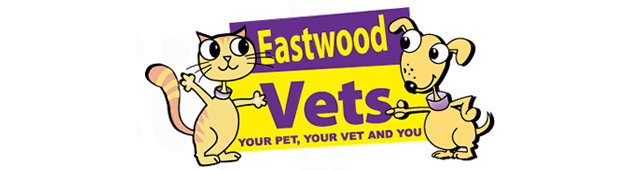 Eastwood Vets Ballarat