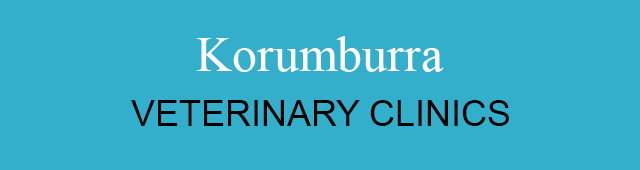 Korumburra Veterinary Clinic Korumburra