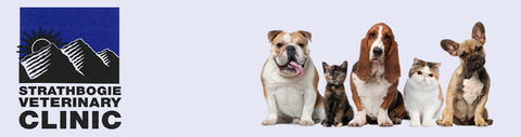 Strathbogie Veterinary Clinic - Vet Australia 0