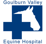 Goulburn Valley Equine Hospital - Vet Australia