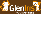 Glen Iris Veterinary Clinic Malvern