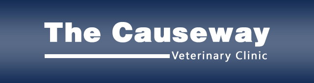 The Causeway Veterinary Clinic Mooroopna