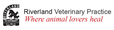 Riverland Veterinary Practice - Vet Australia 0