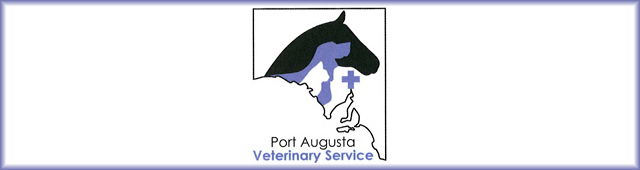 Roxby Downs SA Vet Australia