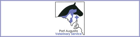 Port Augusta Veterinary Services - Vet Australia 0
