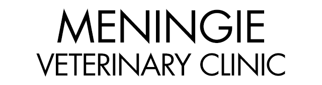 Book Beachport Accommodation Vacations Vet Australia Vet Australia