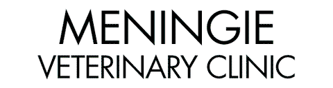 Meningie Veterinary Clinic - Vet Australia 0