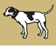 Motter Catherine - Vet Australia