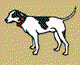 Motter Catherine - Vet Australia 0