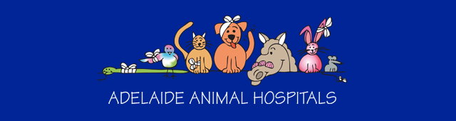 Adelaide Animal Hospital Trinity Gardens