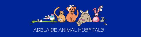 Adelaide Animal Hospital - Vet Australia 0