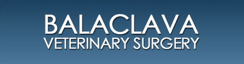 Balaclava Veterinary Surgery - Vet Australia 0