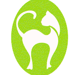Tropical Queensland cat clinic - Vet Australia