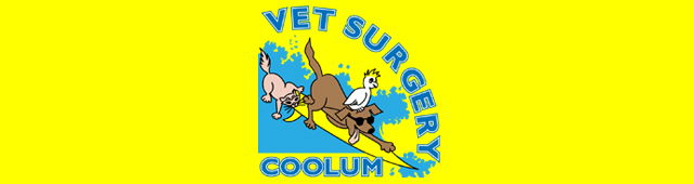 Mount Coolum QLD Vet Australia