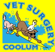 Coolum Veterinary Surgery - Vet Australia