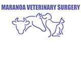 Roma QLD Vet Australia
