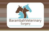  Vet Australia