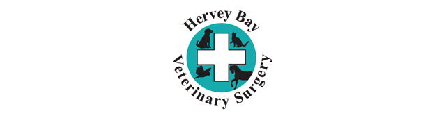 Point Vernon QLD Vet Australia