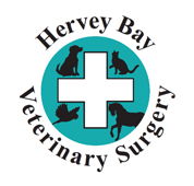 Hervey Bay Veterinary Surgery - Vet Australia