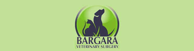 Avenell Heights QLD Vet Australia