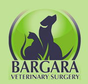 Bargara Veterinary Surgery - Vet Australia