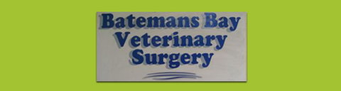Batemans Bay Veterinary Surgery - Vet Australia 0