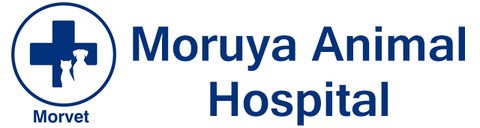 Moruya Animal Hospital - Vet Australia 0