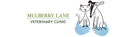Mulberry Lane Veterinary Clinic - Vet Australia 0
