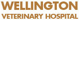 Maryvale NSW Vet Australia