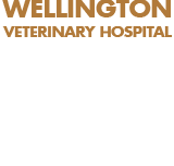 Wellington Veterinary Hospital - Vet Australia