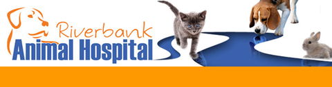 Riverbank Animal Hospital - Vet Australia 0