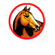 Equine Veterinary And Dental Services - Vet Australia
