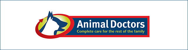Port Macquarie NSW Vet Australia