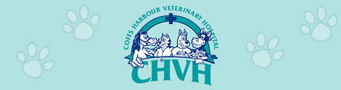 Coffs Harbour Vet Hospital - Vet Australia 0
