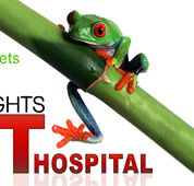 Erina Heights Veterinary Hospital - Vet Australia