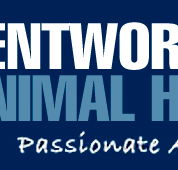 Wentworth Falls Animal Hospital - Vet Australia