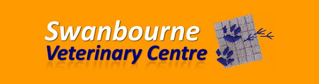 Swanbourne WA Vet Australia