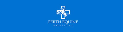 Perth Equine Hospital - Vet Australia 0