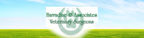 Harradine & Associates - Vet Australia 0
