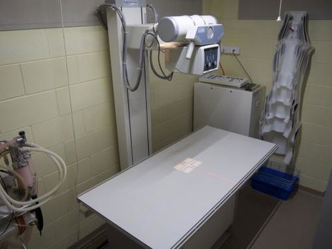 Mount Isa Veterinary Surgery - Vet Australia 5