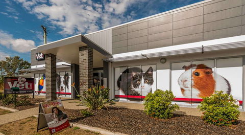 Bundaberg South Vet Clinic - Vet Australia 18