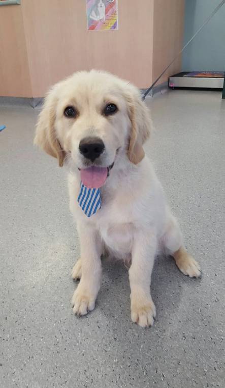 Mackay Veterinary Hospital - Vet Australia 3