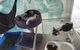 Mackay Veterinary Hospital - thumb 5