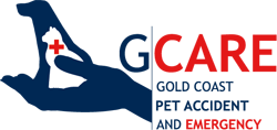 AEC Animal Emergency Centre - Vet Australia 0