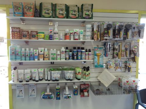 Albion Park Veterinary Hospital - Vet Australia 5